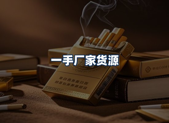 专业团队办公环境
